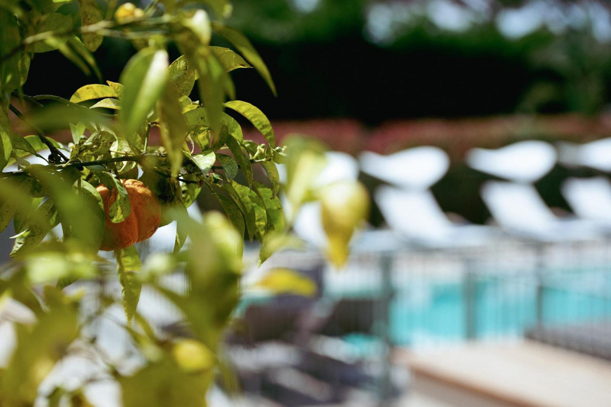 Hotel Boutique Fabulite Antibes